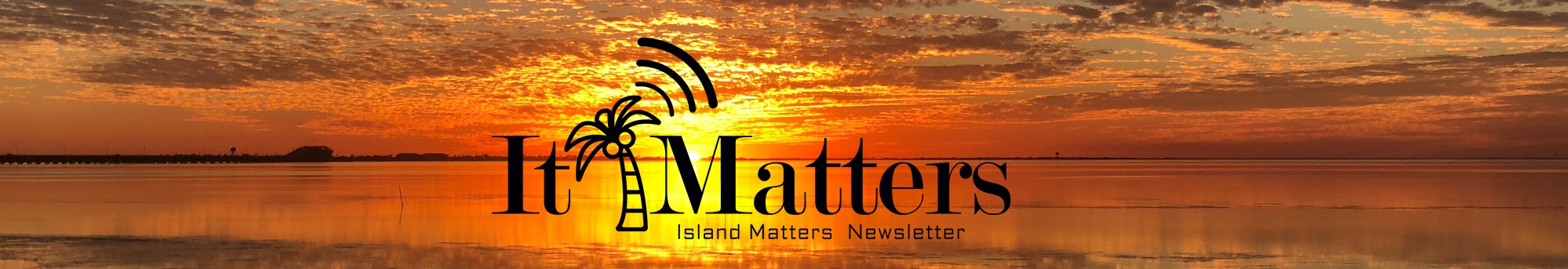 It Matters Newsletter Banner